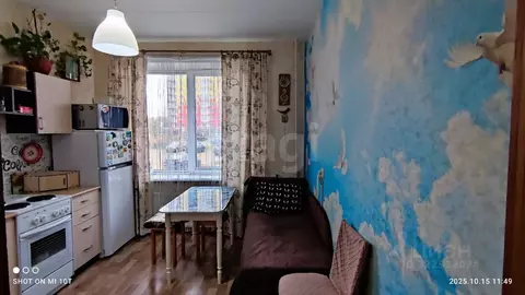 1-к кв. Ленинградская область, Всеволожск Южный мкр, ул. Крымская, 4 ...