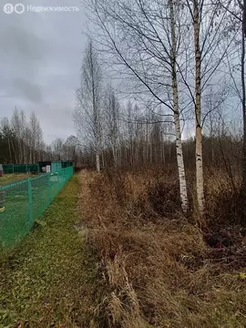 Участок в муниципальное образование Киров, СДТ Надежда (6.31 м)