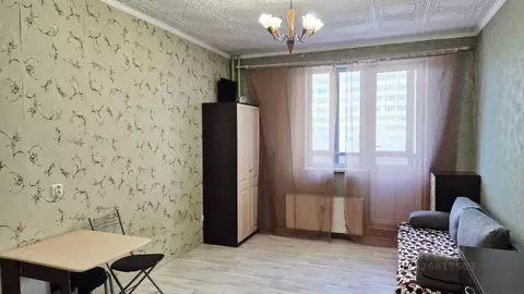 Студия Ленинградская область, Мурино Всеволожский район, аллея ...