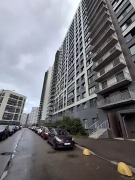 Студия Ленинградская область, Мурино Всеволожский район, просп. ...