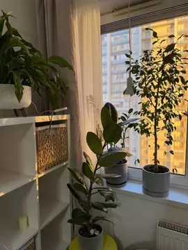 1-к кв. Санкт-Петербург Мебельная ул., 35к2 (47.0 м)