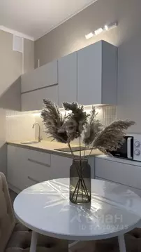 Студия Москва бул. Скандинавский, 14 (26.0 м)