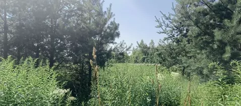 Участок в Ленинградская область, Всеволожский район, Щегловское с/пос, ...