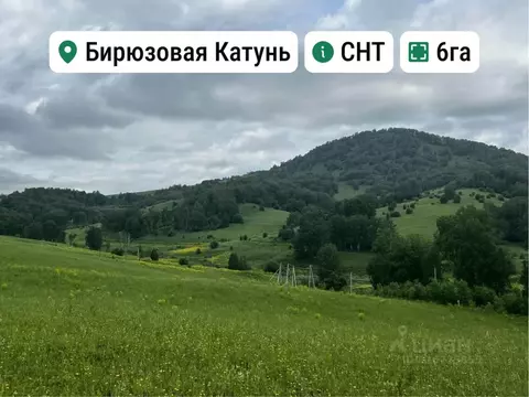 Участок в Алтай, Майминский район, с. Манжерок Ленинская ул. (6.0 ...