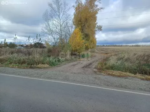 Участок в Павловский район, СТ Транспортник (7.5 м)