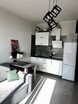 Студия Санкт-Петербург пос. Шушары, ул. Вишерская, 2 (25.4 м)