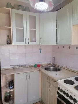 1-к кв. Алтайский край, Барнаул ул. Гущина, 203 (30.0 м)