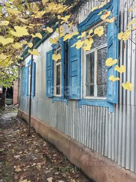 Дом в Адыгея, Майкопский район, Абадзехская ст-ца Телеграфная ул. (43 ...