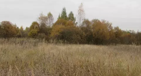 Участок в Московская область, Коломна городской округ, пос. Пески  ...