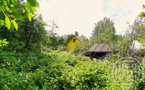Дом в Санкт-Петербург Братская ул., 12 (14 м)