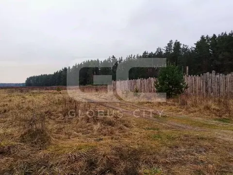 Участок в Брянская область, Брянский район, Новодарковичское с/пос, с. ...