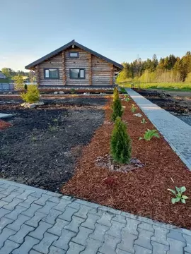 Дом в Карелия, Пряжинский район, Чалнинское с/пос, д. Виданы ул. ...