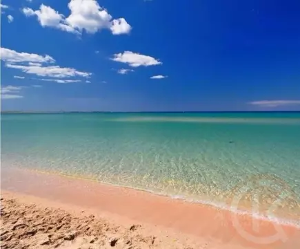 Участок в Крым, Черноморский район, Оленевское с/пос, с. Оленевка ул. ...