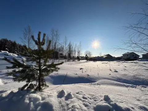 Участок в Ленинградская область, Всеволожский район, Колтушское ...