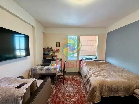 Студия Ивановская область, Иваново ул. Кузнецова, 67Бк2 (25.6 м)