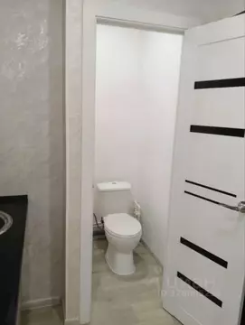 Студия Омская область, Омск ул. Декабристов, 157 (12.3 м)