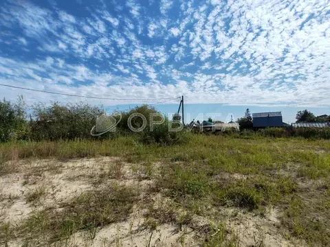 Участок в Тюменская область, Тюмень Мелиоратор СНТ, ул. Центральная ...