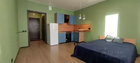 Студия Санкт-Петербург Усть-Славянка тер., просп. Советский, 34к2 ...