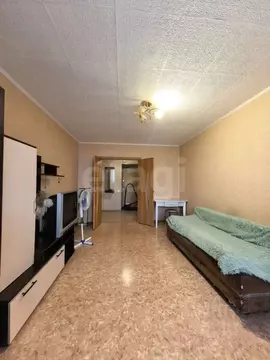 1-к кв. Амурская область, Благовещенск Игнатьевское ш., 14/5 (40.1 м)