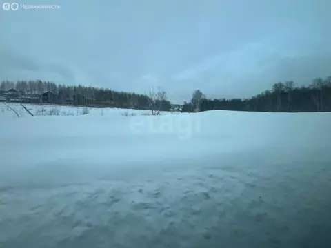 Участок в Новосибирский район, Каменский сельсовет, село Каменка (8 м)