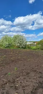 Участок в Свердловская область, Екатеринбург Елизавет жилрайон, ул. ...