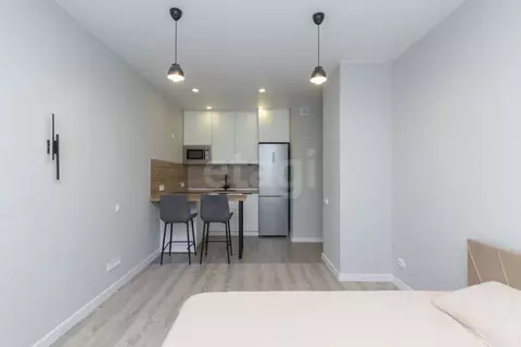 Студия Тюменская область, Тюмень ул. Тимофея Чаркова, 87 (26.0 м)