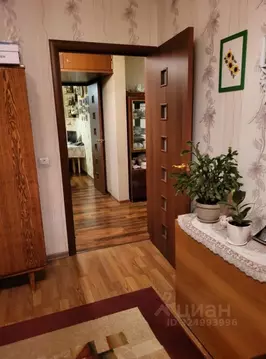 2-к кв. Московская область, Раменское Красноармейская ул., 27б (53.0 ...