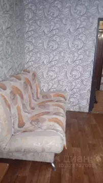 1-к кв. Алтайский край, Барнаул ул. Эмилии Алексеевой, 60 (21.0 м)