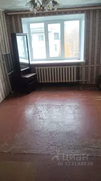 1-к кв. Нижегородская область, Бор 2-й мкр, 4А (17.9 м)