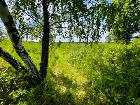 Участок в Ярославская область, Ярославский муниципальный округ, д. ...