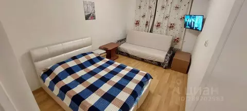 1-к кв. Ростовская область, Таганрог Большой Садовый пер., 13к4 (30.0 ...