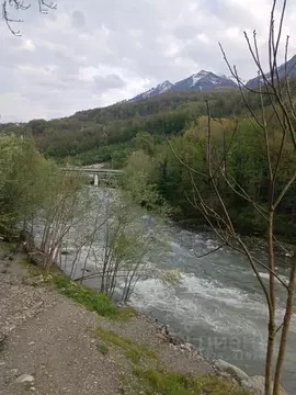 Участок в Краснодарский край, Сочи Красная Поляна пгт, ул. Мичурина ...