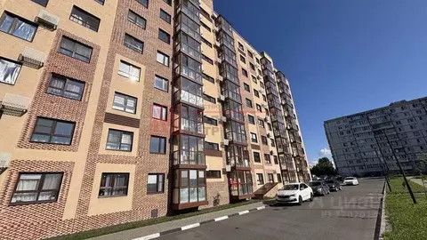 Студия Белгородская область, Старый Оскол ул. Свердлова, 6 (30.0 м)