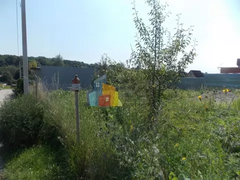 Участок в Тульская область, Алексин городской округ, д. Нижнее ...