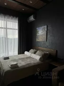 1-к кв. Челябинская область, Миасский городской округ, с. Сыростан ул. ...