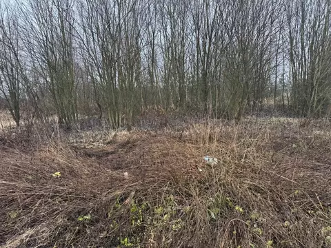 Участок в Московская область, Богородский городской округ, д. Горки ...