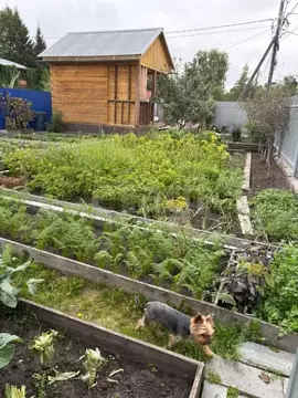 Дом в Тюменская область, Тюмень СОСН Елочка тер., ул. Тихая (12 м)