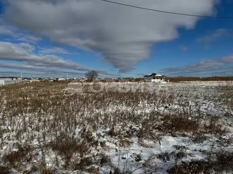 Участок в Тюменская область, Тюменский муниципальный округ, д. ...
