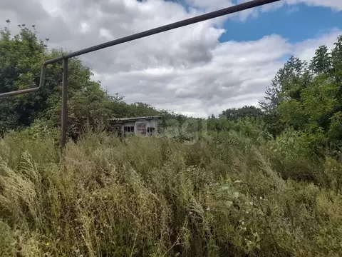 Дом в Саратовская область, Балашовский район, Терновское муниципальное ...