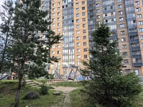 Студия Санкт-Петербург пос. Парголово, ул. Шишкина, 303к1 (24.0 м)