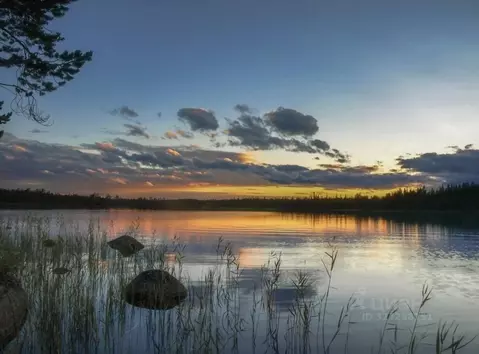 Участок в Московская область, Истра муниципальный округ, д. Ремянники  ...