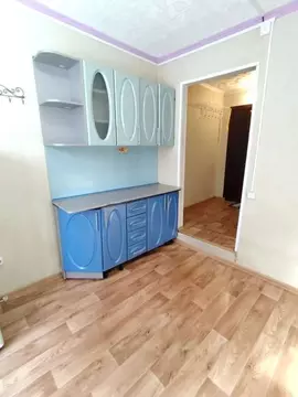 1-к кв. Алтайский край, Барнаул ул. Островского, 17 (17.0 м)