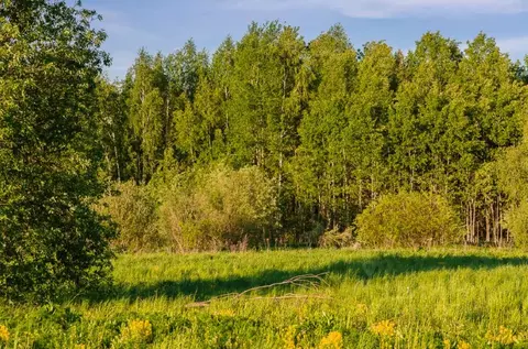 Участок в Московская область, Одинцовский городской округ, д. ...