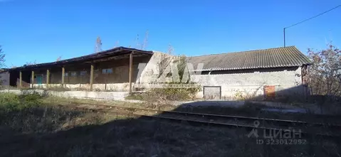 Склад в Челябинская область, с. Аргаяш ул. Карла Маркса, 41 (1201 м)