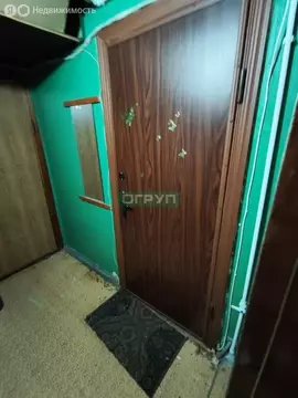 1к в 5-комнатной квартире ( м)