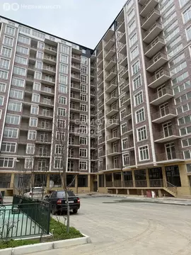 1-комнатная квартира: Махачкала, проспект Насрутдинова, 272Д (50 м)