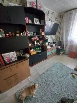 2-к кв. Новосибирская область, Новосибирск ул. Энгельса, 10А (44.0 м)