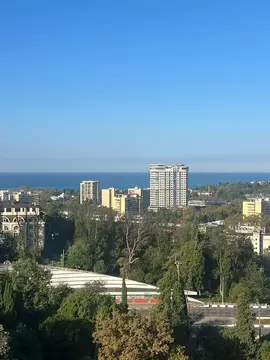 1-к кв. Краснодарский край, Сочи Центральный мкр, пер. Горького, 24 ...