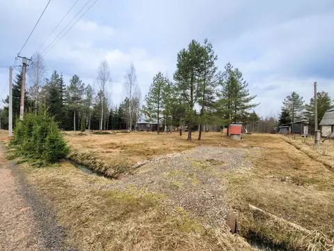 Участок в Ленинградская область, Лужский район, Мшинское с/пос, ...