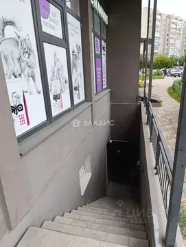 Помещение свободного назначения в Воронежская область, Воронеж ...
